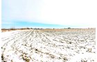 Property photo 3 - LAND AUCTION - 181.22+/- ACRE OFFERED IN 3 TRACTS IN JASPER CO., INDIANA